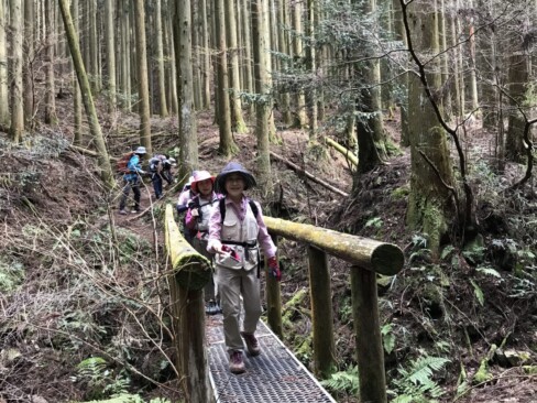 橋を渡ると、傾斜が緩い林道となります。