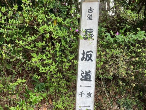 ここから、古道の「長坂道」に入ります。