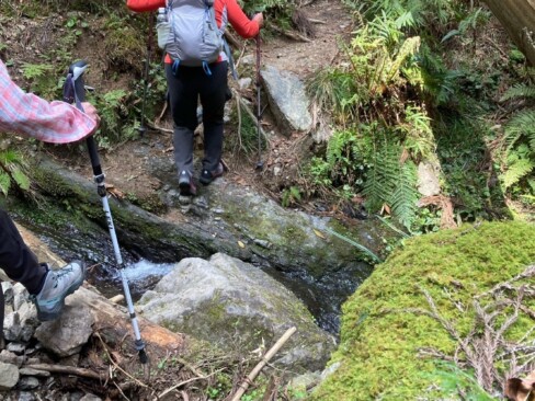 渡渉もあります。