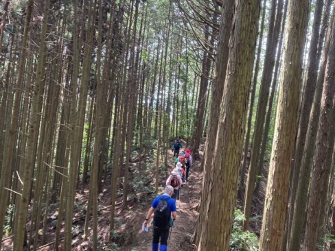 緩やかな上りの尾根歩きが続きます。