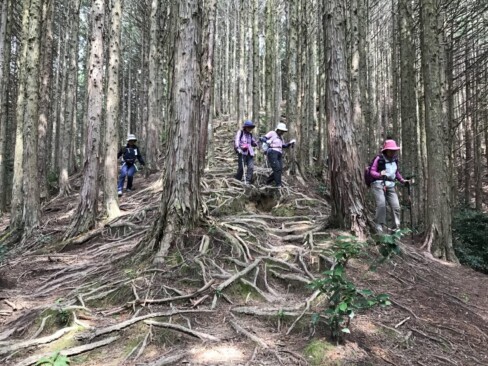 ボーイスカウト道の分岐から急こう配の坂道になります。