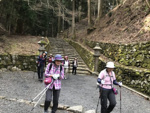 厳かな雰囲気の石段を下りてきました。苔がいい感じ。