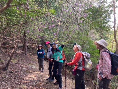 「ミツバツツジ、かわいいねえ」と思いながら見つめています。