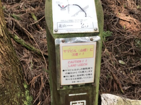 ボーイスカウト道を下りきったところにある標識20。この辺りも、ヤマビルの生息地のようです。