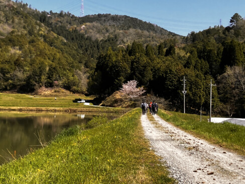 登山口へ続く農道、長閑な春の風景です
