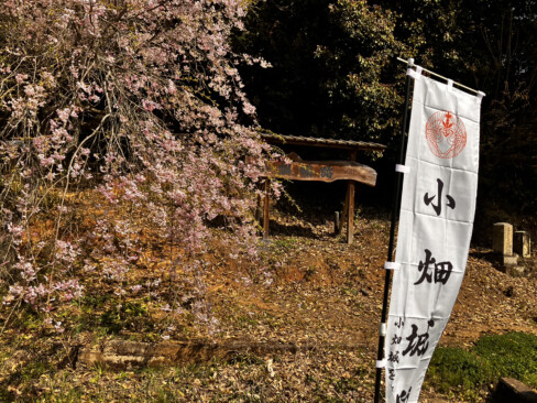 登山口横に設置された大きく目立つ看板
