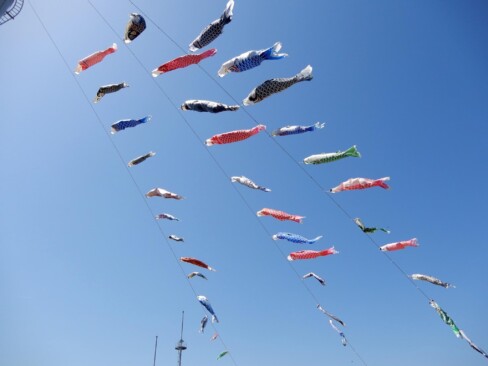 元気いっぱい泳ぐこいのぼり。