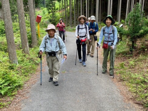緩やかに高度を上げていきます。両側には、北山磨き丸太となる木々が。