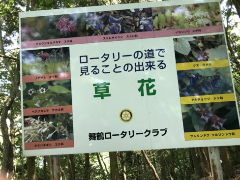 季節ごとにいろいろなお花も楽しめます。