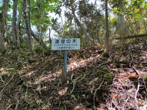 なるほど、なるほど・・・(>_<)