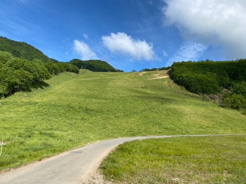 スキー場まで戻ってきました。緑のスキー場もさわやかです。