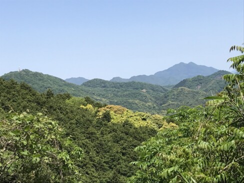 青葉山と午前中に登った五老ケ岳が見えています。