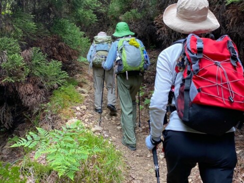 だんだんと傾斜が増していきます。