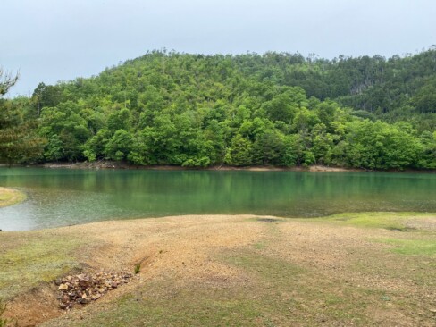 雨に打たれた緑もすてき(*^^*)
