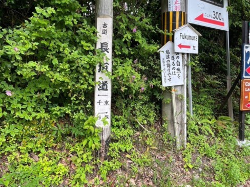 長坂道を歩いて、鷹峯を目指します。