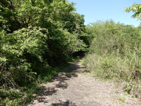 この道、行けるのかなあ・・ちょっと不安だけど行ってみたら、素敵な出会いがありました。