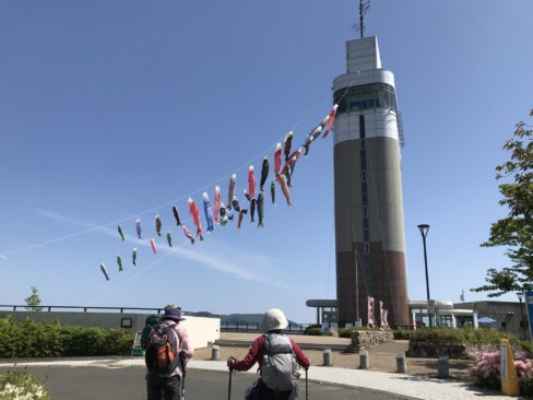 青い空にこいのぼり。子どもも大人も喜びます。