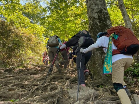うわあ!!すごい根っこですね。