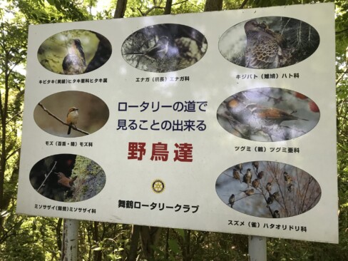 いろいろな鳥がいるようですが、この日は姿は見られませんでした。