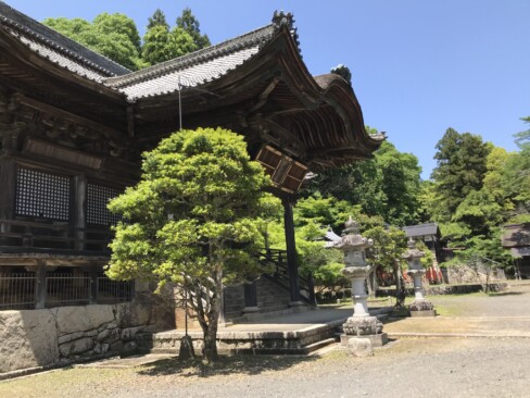 歴史を感じる本堂。この左手から登ります。