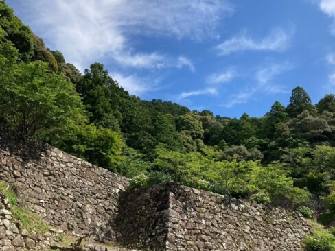 今は石垣だけが残っていますが、迫力は十分。