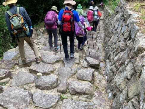 この石段・・・どこまで続くんだあ???