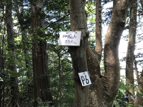 11:14。本日2つめのピーク「伊庭山」に到着。気温も上がってきました。