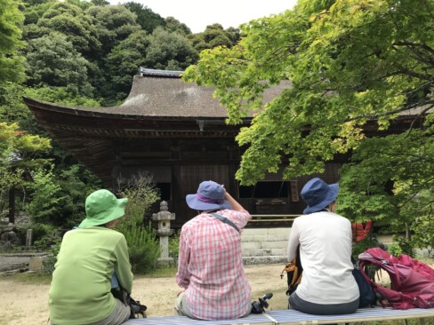 桑實寺で休憩中。白鳳6年創建。現在の建物は南北朝時代に建立されたままのものだとか。