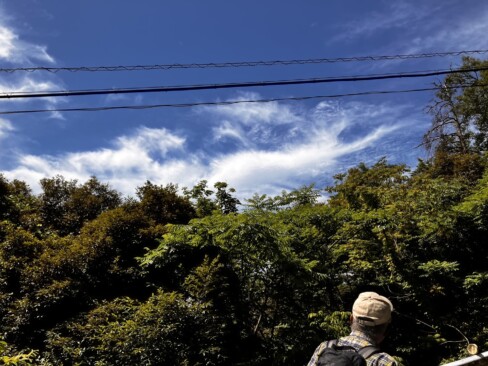 成相寺へ続く道から見上げた夏の空。気持ちよく晴れ渡っていました。