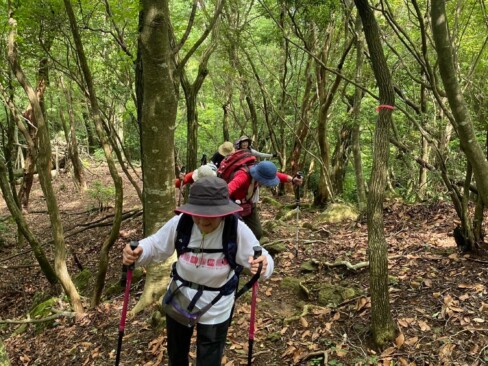 文保寺への分岐から松尾山山頂にかけても、なかなか急です。