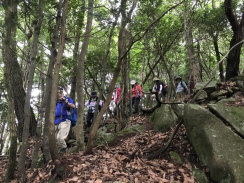 松尾山からの下りもめっちゃ急!!最後まで気が抜けません。