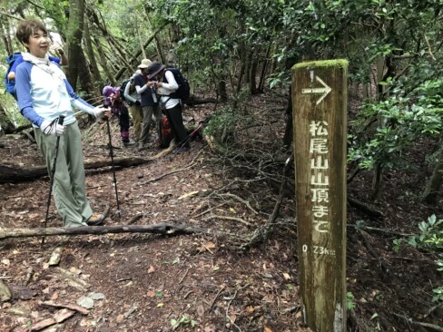 本日3座目の松尾山まであと230m。水分とエネルギーを補給して、最後の登りに備えます。