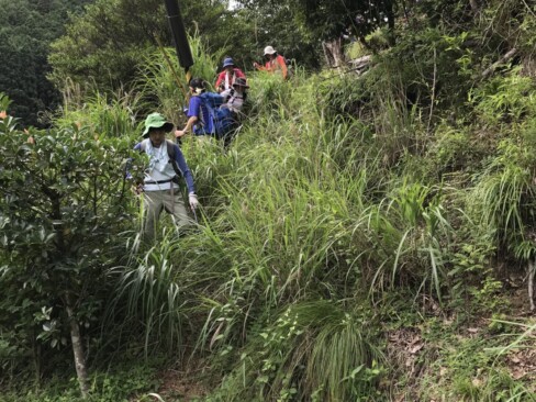 やっとの思いで下山口につきました。最後にススキのアーチ(>o<)