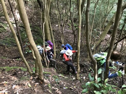 登りはじめは、急なジグザグ道です。