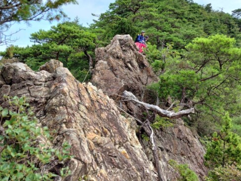 岩を登り切って振り返る会長。