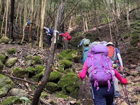 いきなりの急登はこたえます。一歩一歩、慎重に。