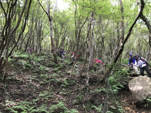 白髪岳からの下りは激下り!!深くえぐれているところも・・・ほんまに大変(;.;)