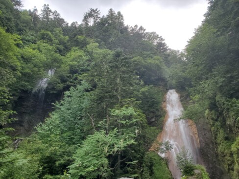 水源の異なる3つの沢が、一つのところに集まっているそうです。