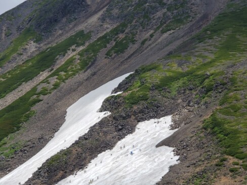 雪渓でスキーを楽しんでいますね。
