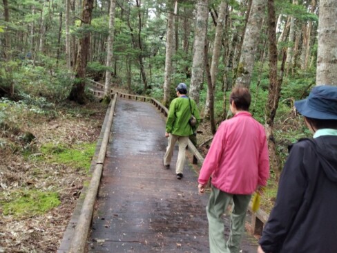 雨上がりのしっとりとした高原を歩きます。