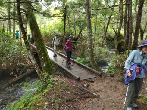 マイナスイオンたっぷり!!癒やされるーーー。