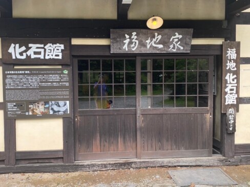 日本最古の化石が展示されている「化石館」