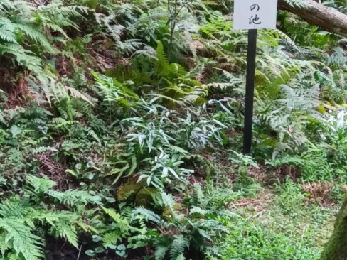 中川清秀の首を洗ったといわれる池