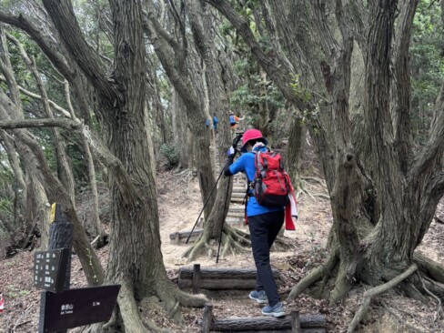 鉄拐山に向けて登ります。