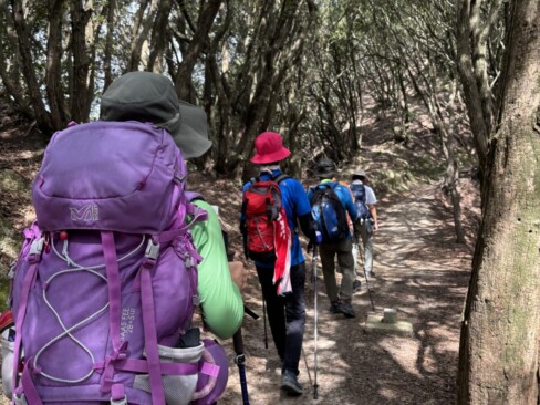 登山道脇の木々が、太陽の光を和らげてくれます。