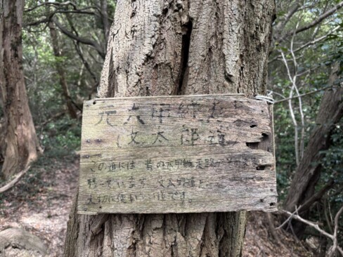 文太郎道です(^_^)v