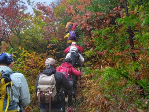 登山口から稜線に出るまでは木製の階段が続いています。