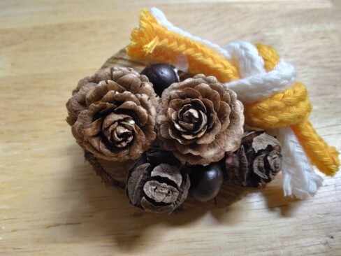 展示館内で松ぼっくりなどを使ったクラフト作りコーナーがありました。