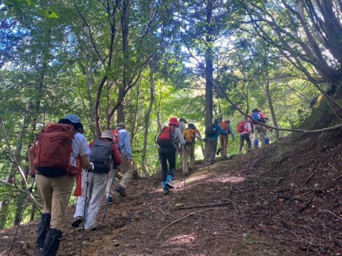 登山道は整備されていて歩きやすいです。 登山道は整備されていて歩きやすいです。