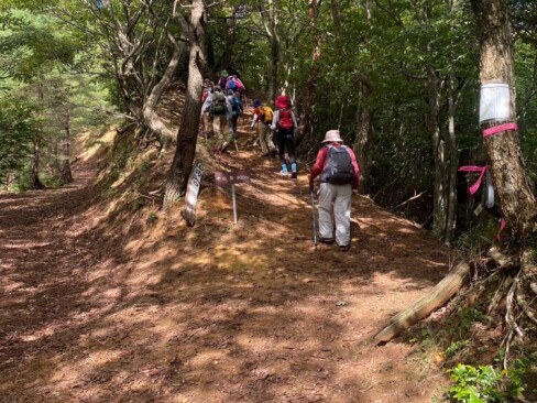 この分岐を右へ行くと山頂です。